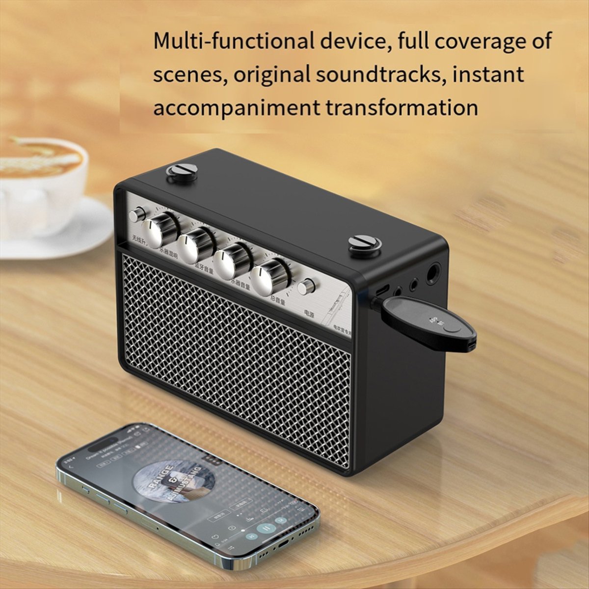 Audio-ontvanger Adapter 3.5/6. - Audio Music Remover recensie en prijs